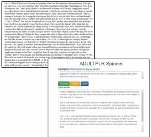 adult plr article sample and spinner